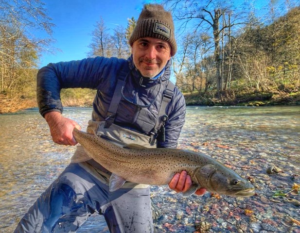 Hucho, danube salmon.